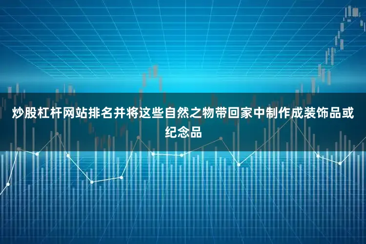 炒股杠杆网站排名并将这些自然之物带回家中制作成装饰品或纪念品